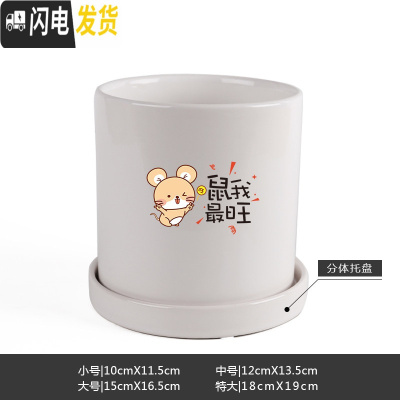 三维工匠鼠年本命年装饰创意中国红插银柳简约圆柱绿植多肉带托盘陶瓷花盆 鼠我最旺-亮光白 小花盆容器