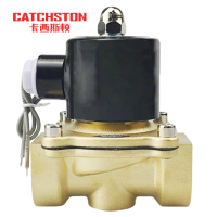 卡西斯顿 管道电磁阀 2W160-15 个