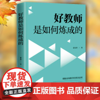 好教师是如何炼成的 当代文学霍永香著中国青年出版社