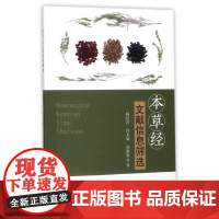 本草经文献信息筛选