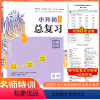 英语 小学升初中 [正版]木头马小升初英语系统总复习名师特训小考英语必刷题名刺名校真题测试卷小学6六年级毕业总复习专题训