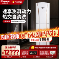 大金(DAIKIN) 2匹 全直流变频 FVXG150WC-W一级能效 冷暖柜机空调