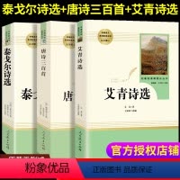 [正版]艾青诗选泰戈尔诗选唐诗三百首人民教育出版9九年级上册书目中国古诗词鉴赏辞典青少年初中学生课外阅读书籍初中生经典