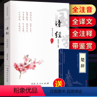 [正版]诗经全集注音版305首无删减 原著完整版原文注释译文儿童版小学生初中生成人阅读版诗经拼音版文学古诗词书籍