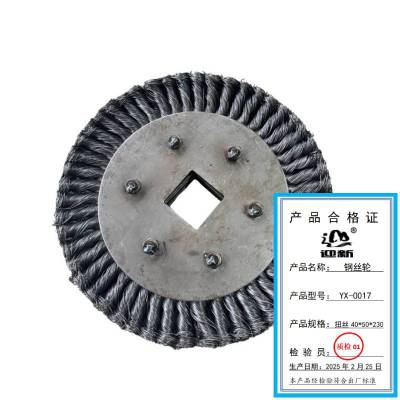 迎新 钢丝轮 扭丝40*50*230 YX-0017 每个