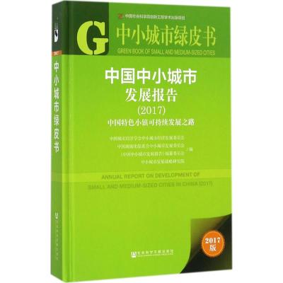 中国中小城市发展报告