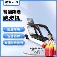 探仕狼 跑步机家庭用智能降噪可折叠爬坡走步机宽大跑台 T-8001