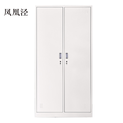 凤凰泾加厚二门钢制更衣柜员工柜铁皮职工储物柜带锁存包柜鞋柜