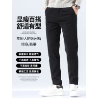 男士秋季商务休闲长裤条纹韩版修身型小脚高级感西裤