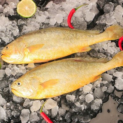 海小花鱼新鲜小鱼冷冻花鱼冰鲜 5斤大号【一斤4-5条】_392