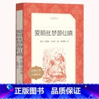 爱丽丝梦游仙境 [正版] 书 爱丽丝梦游仙境 统编语文阅读丛书小学生课外书爱丽丝漫游奇境记爱丽丝漫游仙境三年级书六年