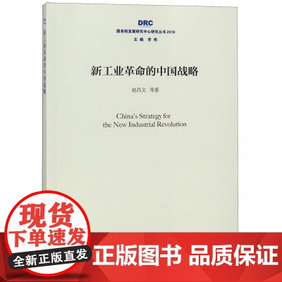 新工业革命的中国战略(2018)/国务院发展研究中心研究