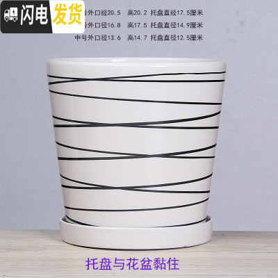 三维工匠白色欧式花盆陶瓷特大中三号绿植盆栽创意简约花盆带托盘 T-GJ300-7打线 中等花盆容器