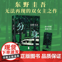 分身 东野圭吾无法再现的双女主之作 奇绝瑰残忍又温情 没有人的出生是错误 我要寻找的 是经历同样命运的分身 正版书籍