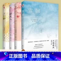 [4册]川端康成作品集 [正版]4册川端康成作品集:雪国伊豆的舞女睡美人千只鹤 精美插图诺贝尔文学奖得主川端康成代表作山