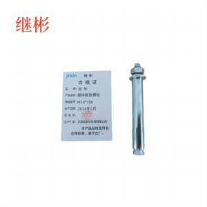 JIBIN/继彬 GB22795-表5 膨胀螺栓 碳钢 镀白锌 M10×100 1个