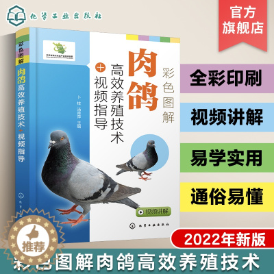 [醉染正版]彩色图解肉鸽高效养殖技术视频指导 肉鸽选种 疾病防治 肉鸽营养饲料 养鸽场建设 鸽产品加工营销 肉鸽养殖企业