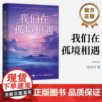 店 我们在孤境相遇 沐泽川 拆穿社交伪装 打捞失落的情感联结 拒绝精神内耗 自我疗愈心理学书籍 电子工业出版社