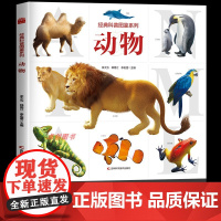 [大开本]经典科普图鉴系列动物百科全书 3-5-6岁幼儿童小中大班动物大百科书籍小学生一二三四年级科普大百科动物书科普大