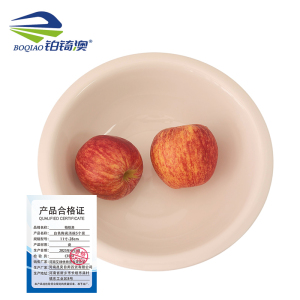 铂锜澳 白色陶瓷汤碗5个装/件