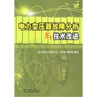 正版新书]电力变压器故障分析与技术改进王世阁 钟洪璧978750831