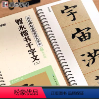 [正版]墨点字帖智永楷书千字文 传世碑帖近距离字卡2册 全文米字格高清放大修复本 楷书字帖毛笔临摹练字帖毛笔书法临帖