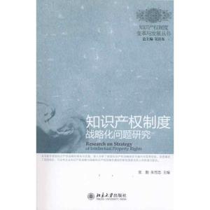 [M]知识产权制度战略化问题研究-9787301179680