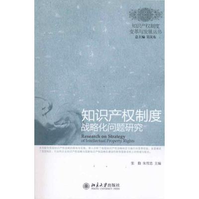[M]知识产权制度战略化问题研究-9787301179680
