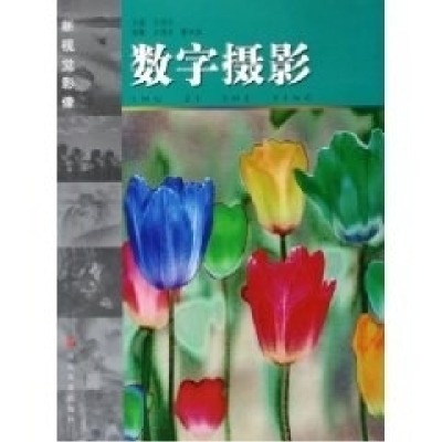 正版新书]数字摄影/新视觉影像王传东9787533020132