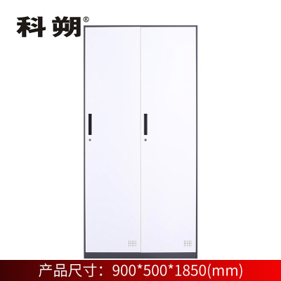 科朔 文件柜两门更衣柜钢柜钢制办公室更衣柜铁皮更衣柜储物柜KS-G001