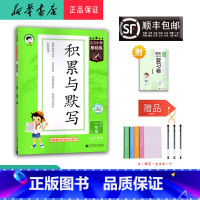 语文 一年级上 [正版] 2024秋 新版 5.3小学基础练积累与默写 语文 一年级上册