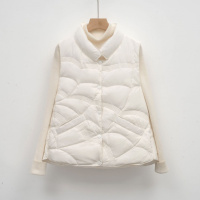 寒冬思羽女式韩版立领马甲女背心女装新款羽绒服秋冬无袖保暖复古