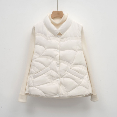 寒冬思羽女式韩版立领马甲女背心女装新款羽绒服秋冬无袖保暖复古