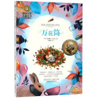 音像万花筒:国际大奖儿童文学[英]依列娜·法吉恩