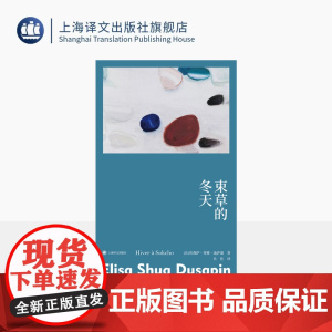 束草的冬天 故事群岛 [法]埃莉萨·秀雅·迪萨潘 著 狄佳 译 罗伯特·瓦尔泽奖 法韩混血女作家首作 女性主义 上海译文