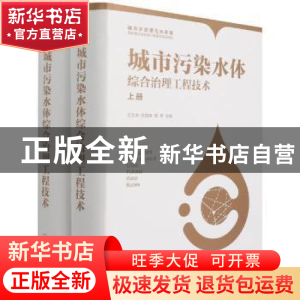 正版 城市污染水体综合治理工程技术 王宝贞,任南琪,隋军 化学工