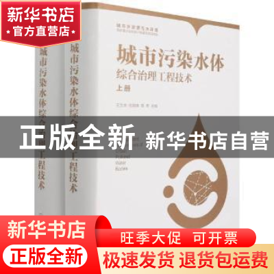 正版 城市污染水体综合治理工程技术 王宝贞,任南琪,隋军 化学工