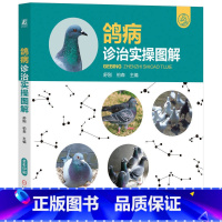 [正版]鸽病诊治实操图解 兽医学书籍动物疫病防疫动物医学 养鸽书养殖技术大全教程书籍 高效养鸽鸽病综合防控速诊快治技
