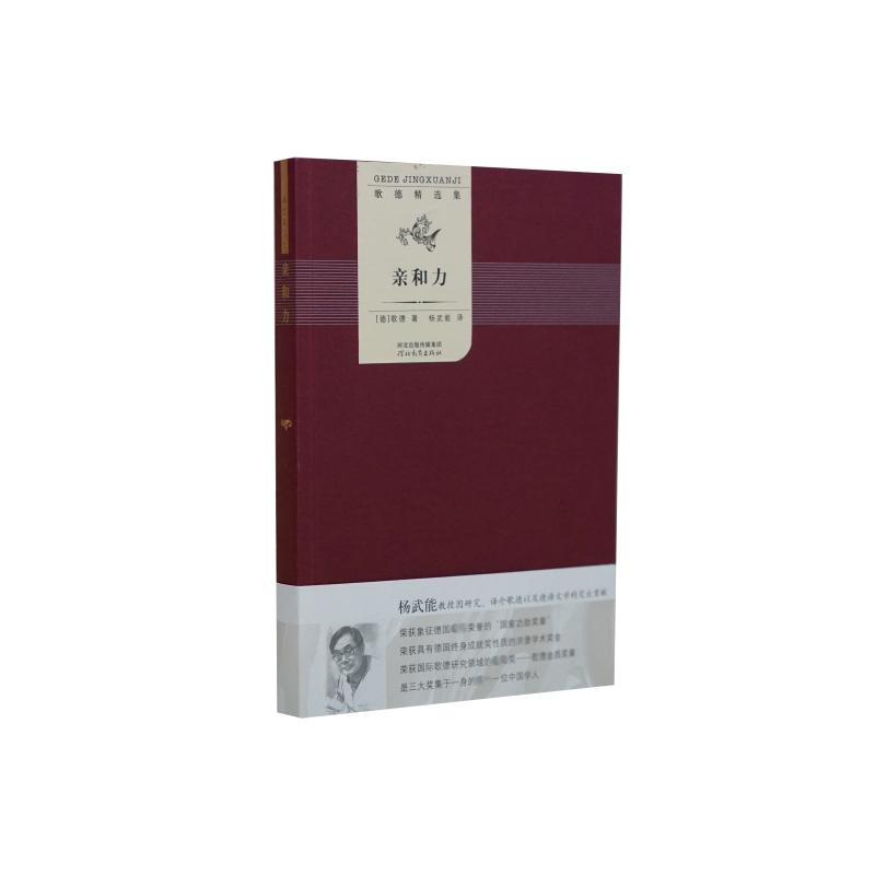 亲和力/亲和力歌德精选集 歌德 著 杨武能 译 文学 文轩网