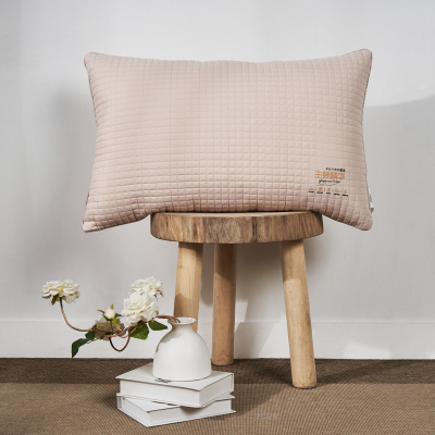 远梦家纺出品怀贝生姜暖绒酒店枕头可水洗成人助睡眠护颈枕家用磨毛学生宿舍蓬松软枕芯生姜暖绒酒店枕48*74cm