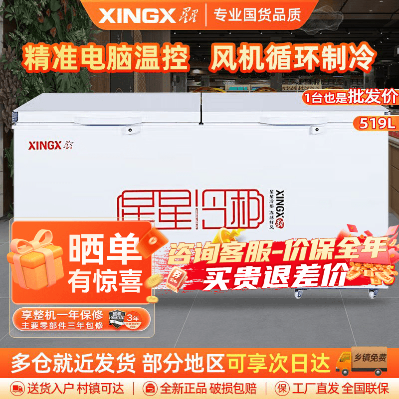 星星(XINGX) BD/BC-519E 519升冰柜 冷柜 卧式大容量商厨商用保鲜设备 深冷速冻 电脑温控