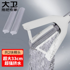滚轮式免手洗胶棉拖把海绵吸水地拖家用拖布免手洗墩布1杆2头