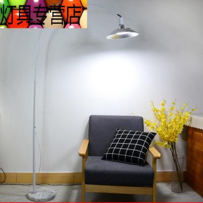 植物台灯价格 植物台灯最新报价 植物台灯多少钱 苏宁易购