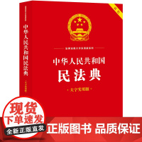 中华人民共和国民法典(大字实用版)