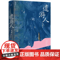 遣游人 一部失窃小说手稿引发的奇幻旅程 第34届台湾联合报文学奖得主吴纯首部长篇小说 阎连科 骆以军 张悦然联袂 理想国