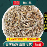 甄选翻白草100克干货正品煮水泡茶另售绞股蓝茶苦丁茶9260