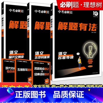 专项突破⭐⭐语文[现代文+古诗词+名著]3本套 初中通用 [正版]2024新版中考合订本九年级下册上册语文数学英语物理化