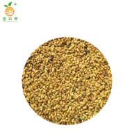 廷豪果 小叶紫花苜蓿种子 净籽 /千克