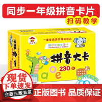 拼音卡片共230张 一年级上册下册全套声母韵母拼读训练26个字母表汉语识字 幼小衔接学习神器 汉语字母表教具全套拼读训练