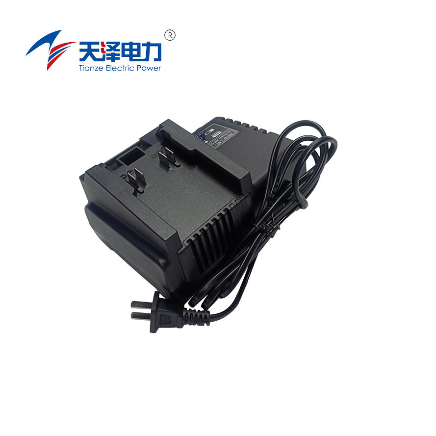 天泽电力 充电器 LBC-245 件